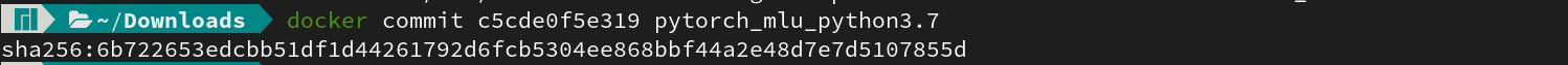 image-20240228122340835